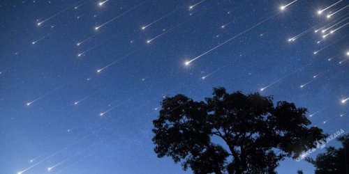 Невероятный звездопад в ночь на 4 января могут наблюдать одесситы