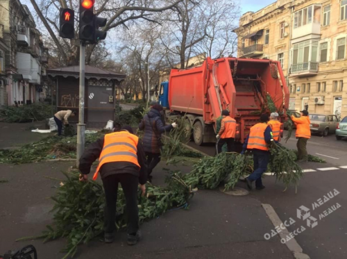 В Одессе в этом году торговцев елками обяжут заключать договоры на уборку территории (видео)