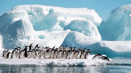 В Антарктике впервые зафиксировали температуру воздуха выше +20 градусов
