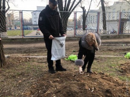 Преображение Преображенского: дорога на костях, срубленные деревья и новый вход в зоопарк