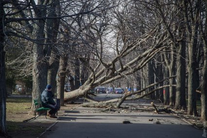 20 кадров февральского шторма в Одессе: побитые машины, сорванные крыши и пыльное облако