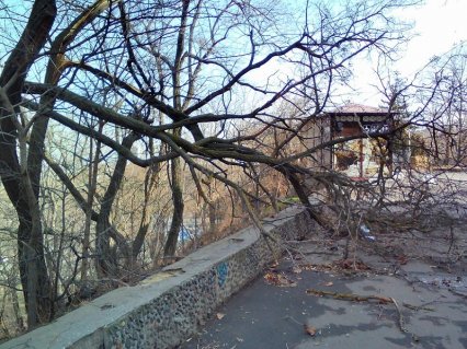 Шквальный ветер в Одессе: поваленные деревья и заборы (фото)