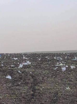 Мусорный апокалипсис в 80 км от Одессы: миллионы полиэтиленовых пакетов обмотали деревья и поля