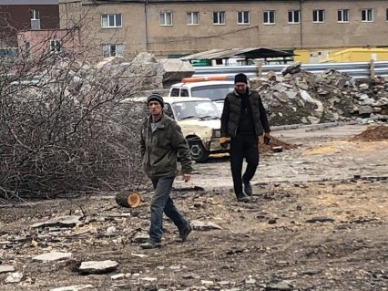 В Одессе cпилили деревья ради строительства заправки