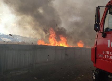 В Одесской области поджигатели камыша чуть не уничтожили пять домов