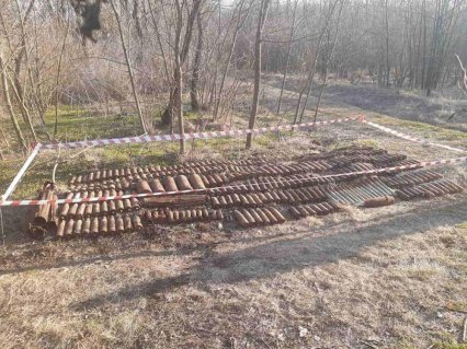 Одесская область: в лесу обнаружили почти 400 боеприпасов времен Второй мировой