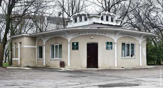 Распродажа: мэрия Одессы планирует «малую приватизацию» парка Шевченко и на Дерибасовской