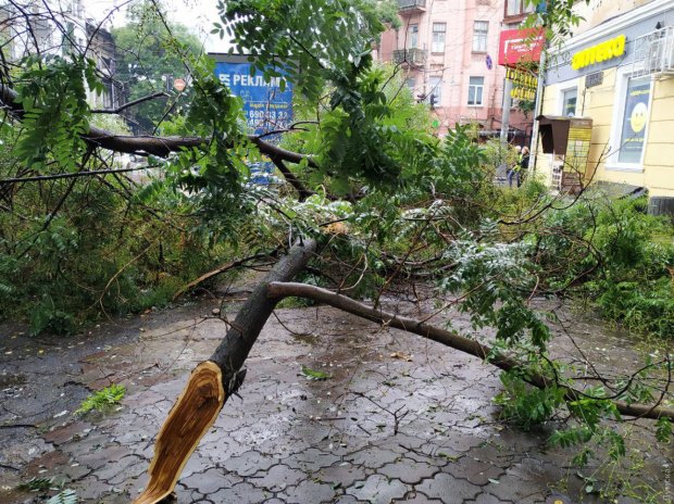 Непогода в Одессе: упавший столб повредил автомобиль
