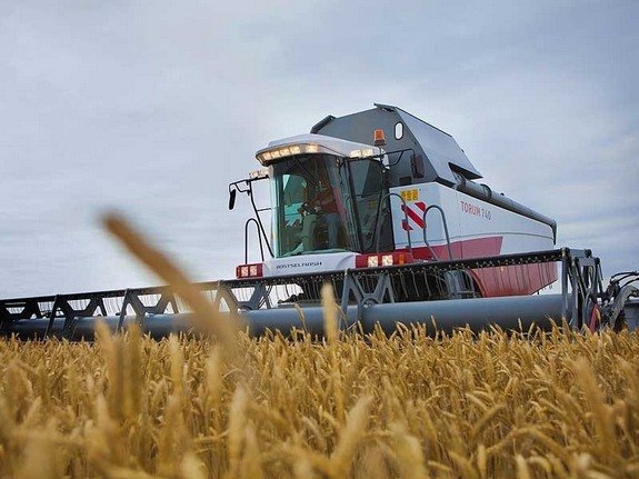 В Одесской области прогнозируют рекордный урожай
