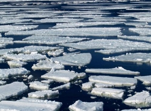 В Одесской области трое подростков провалились под лед