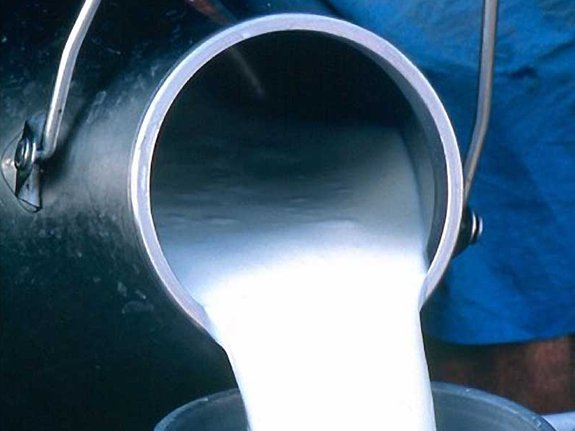 В Одесской области продолжает падать производство молока
