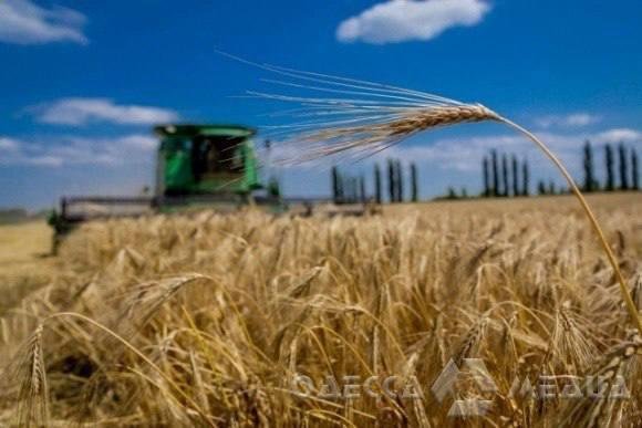 Фермеры Одесской области первыми в Украине начали собирать урожай
