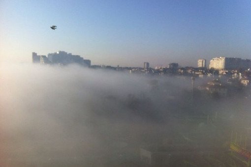 В Одессе объявлено штормовое предупреждение из-за тумана