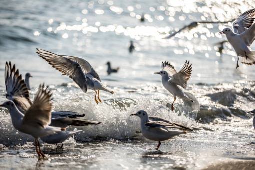 Якою буде погода в Одесі та області 9 листопада