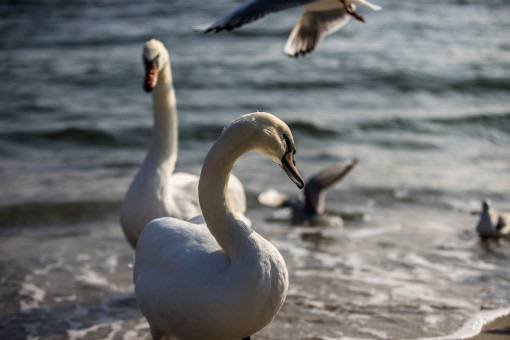 Найближчі дні погодні умови Одещини зумовлюватиме циклон над Європою